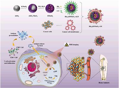 Nanomaterials: leading immunogenic cell death-based cancer therapies